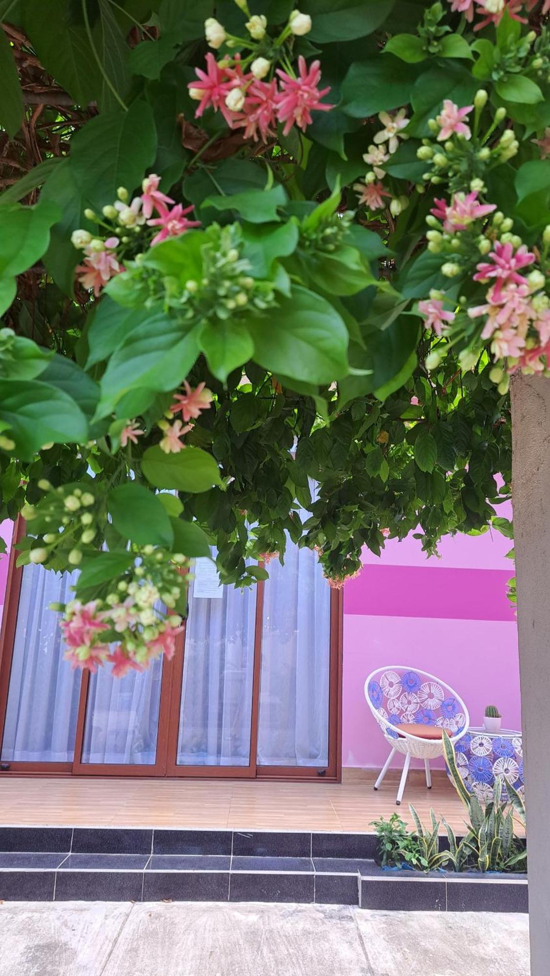 Pink House Homestay Hoi An Exterior foto
